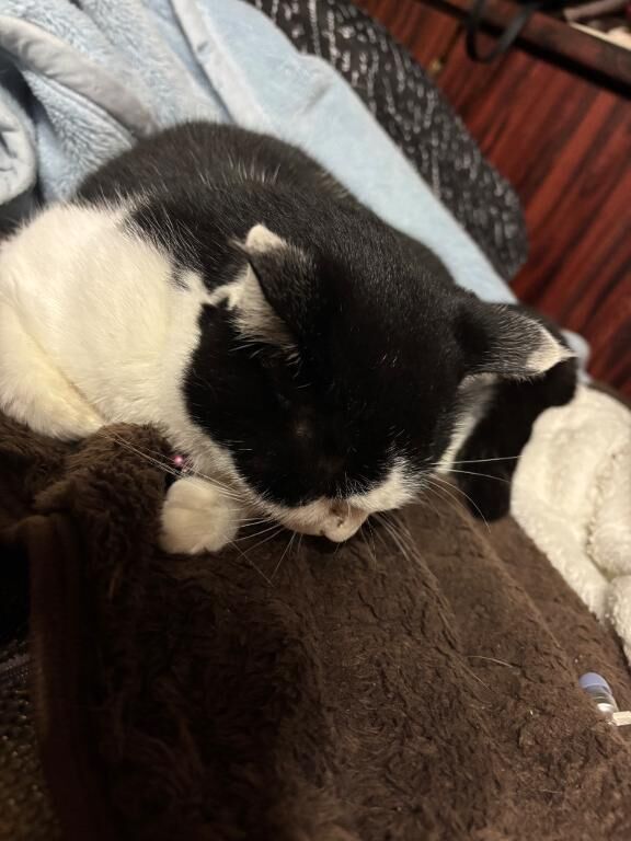 おはようございます