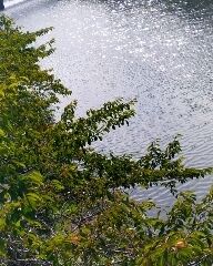 目がしょぼしょぼ？(苦笑)