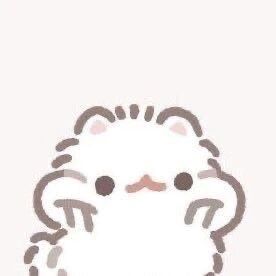 &#128008;&zwj;&#11035; 次回 14:30~ &#127872;