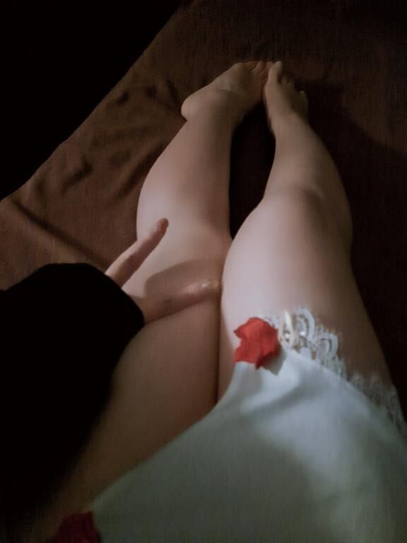 [お題]from:たかっくさん