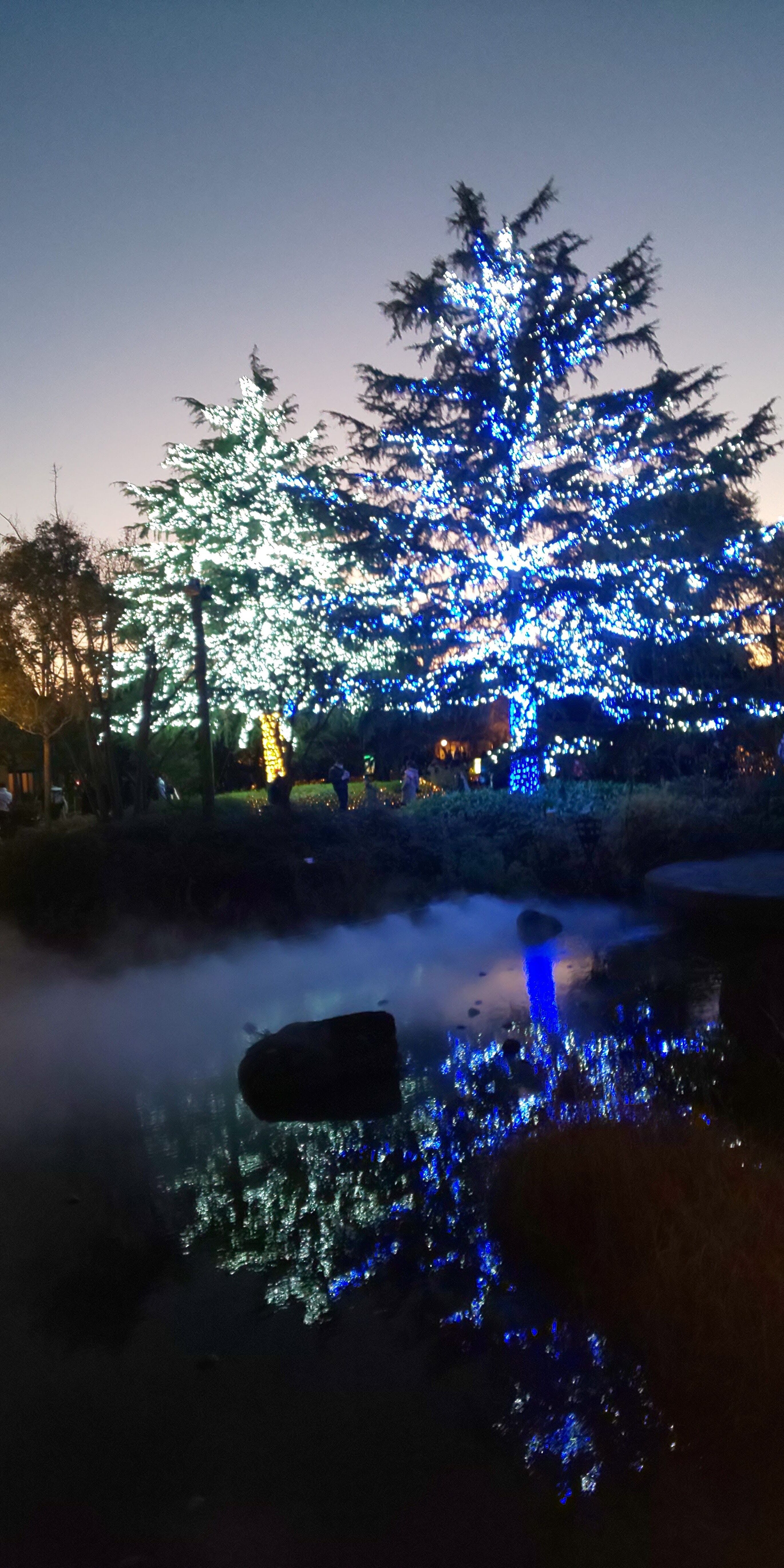 ありがとうございます