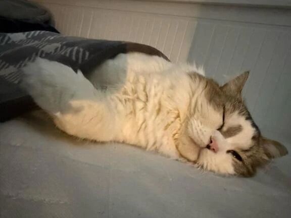 ずるいなぁ…。