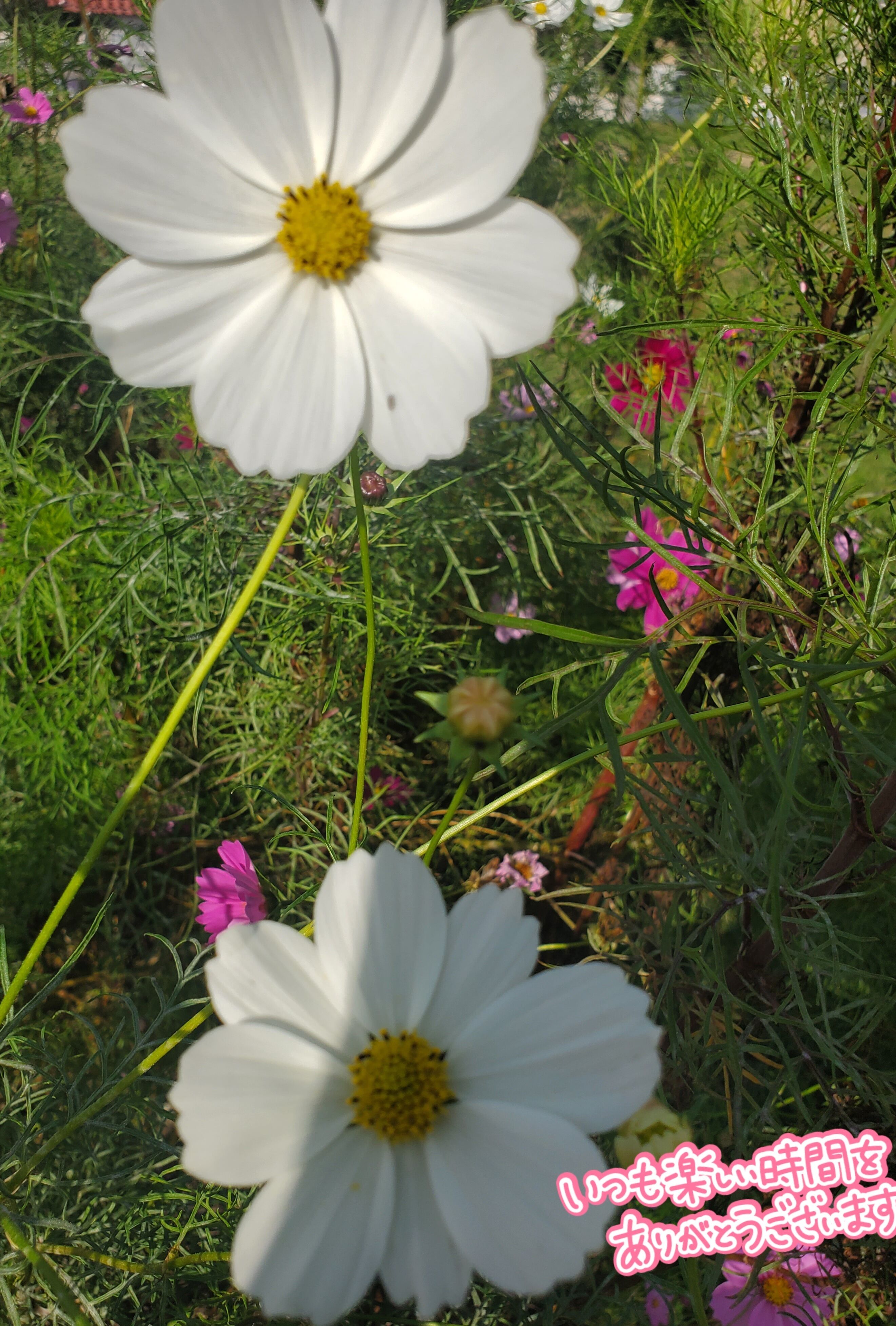 よろしくお願いいたします♡
