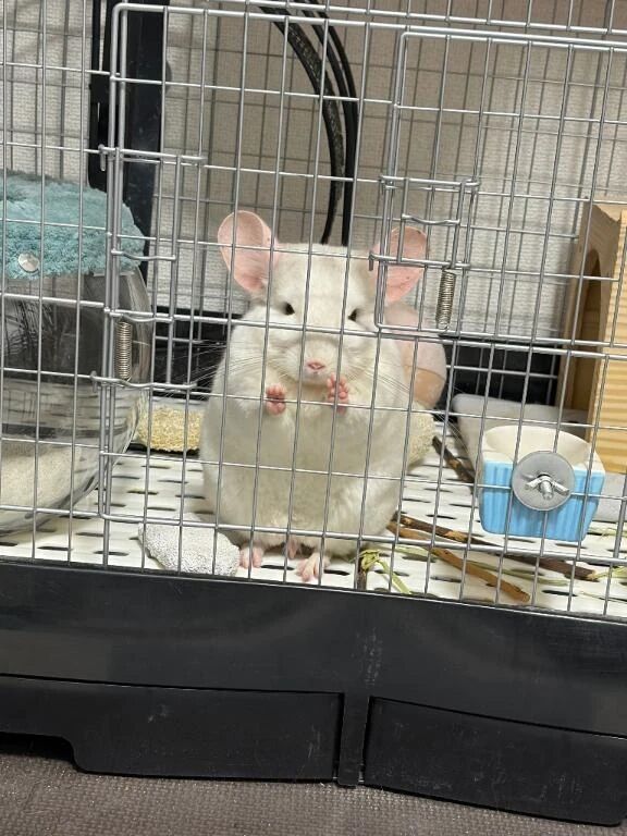 シフトだしたのにすみません&#128166;