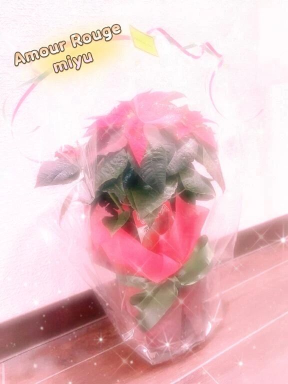 おはようございます☀️｡°