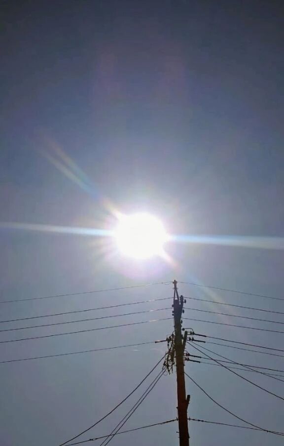 李こんにちは李