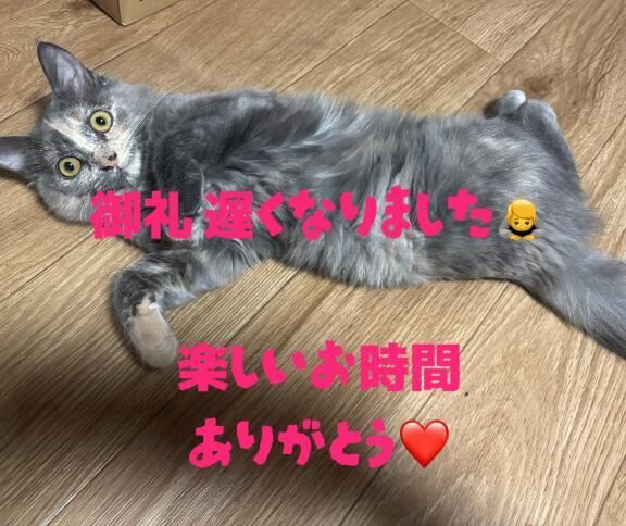 静岡からのお客様