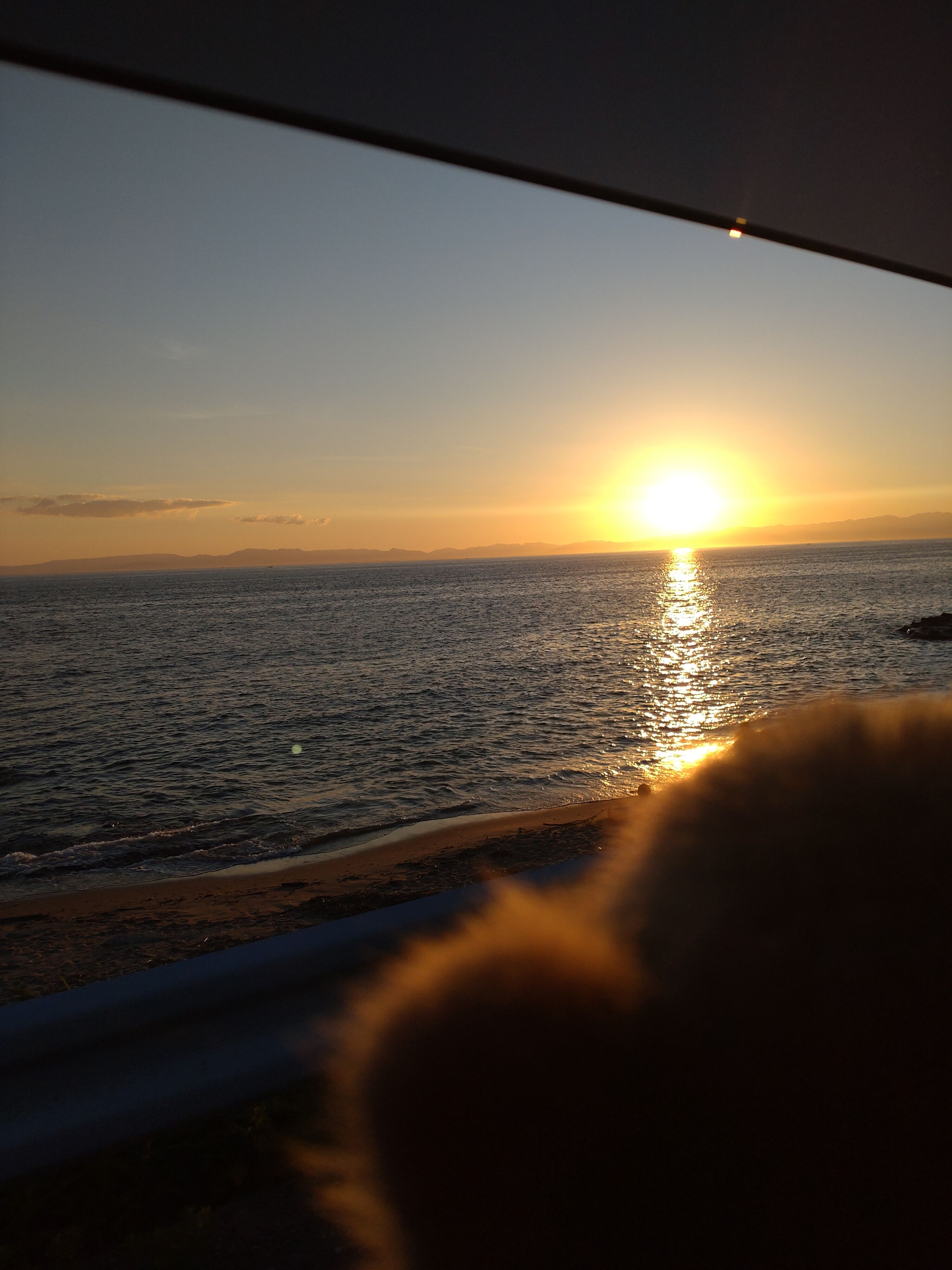 　色々あり過ぎて