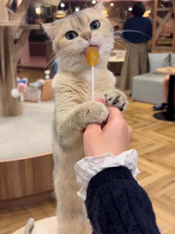 空き枠発生お知らせ&#9825;