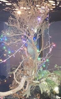 そんな季節なのね… お礼です