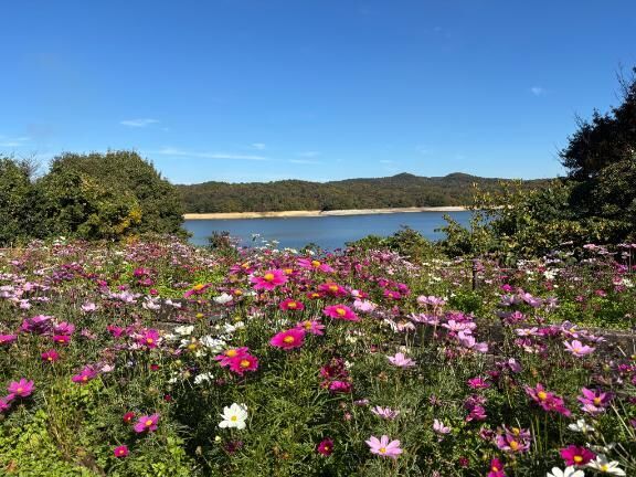 [お題]from:トンボさん