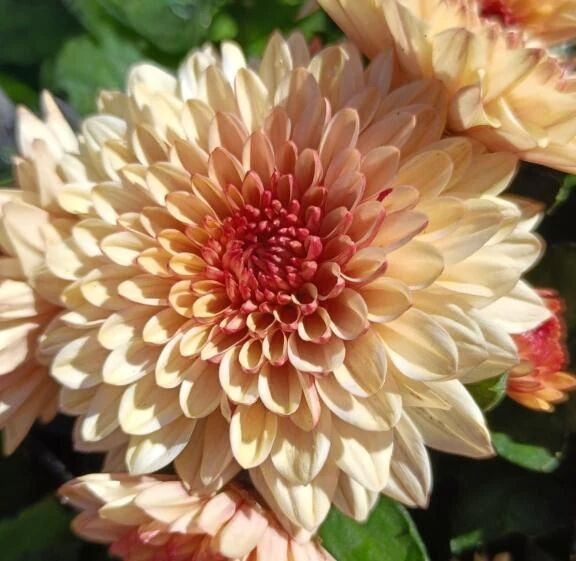 &#128149;ありがとう&#128149;