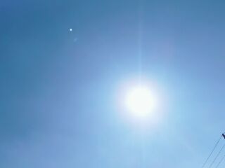 いいお天気です