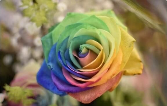 心理テストしてみた&#9825;