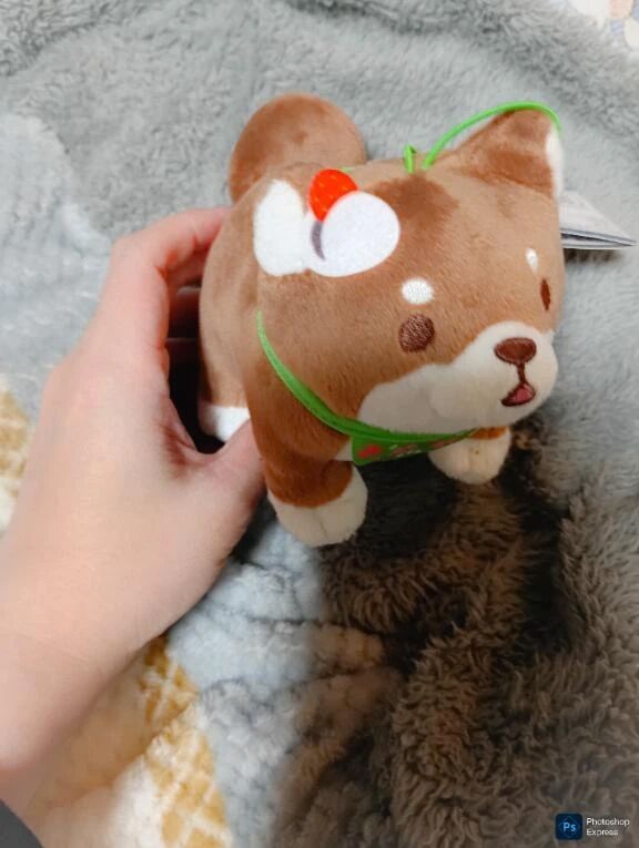 16日のお礼です　10時45分からの(*^▽^*)