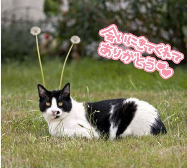 16日（日）仲良しTさん♡