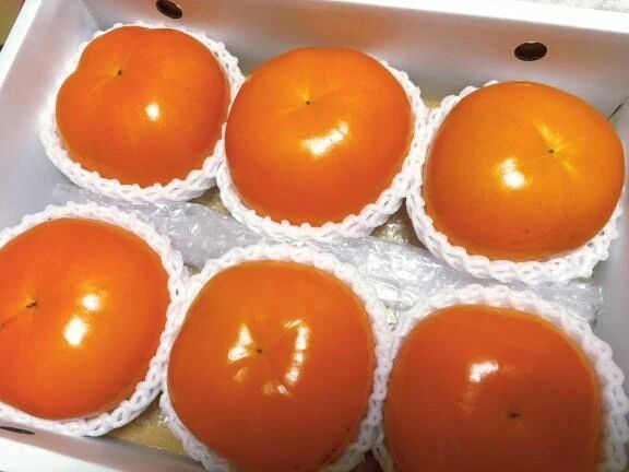 まだ食べれる？