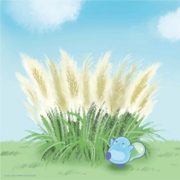 (* &#728; &#7509; &#728;*)☆*:.&#4283;や&#2605;み