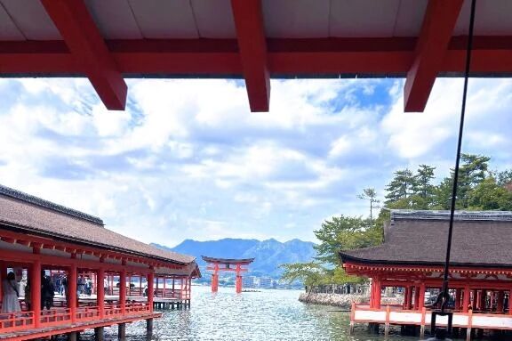 お久しぶりです&#128578;&zwj;&#8597;&#65039;