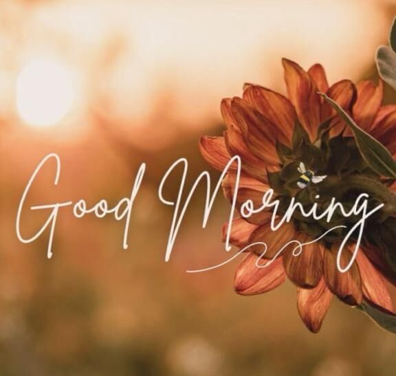 11時頃&#x301C;&#127539;あります&#128583;&zwj;♀&#65039;