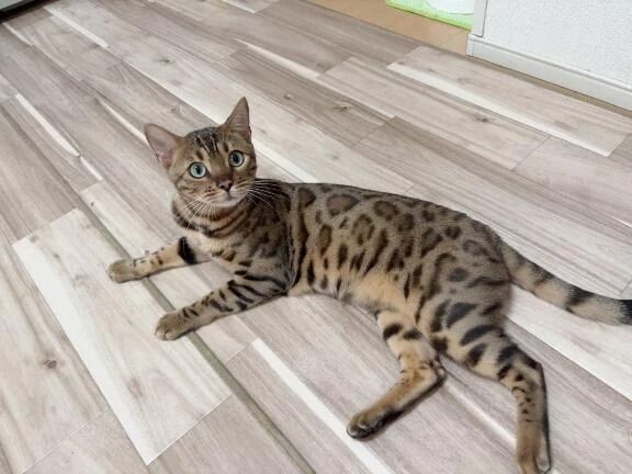 お礼日記&#128149;