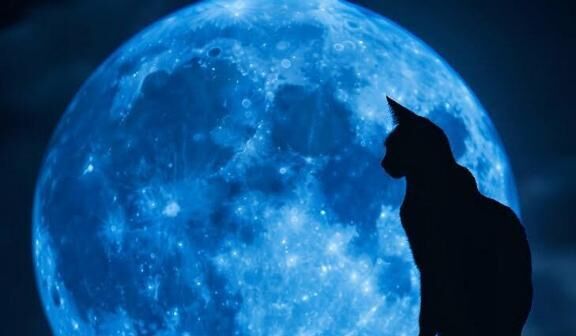 ごめんなさい……♡