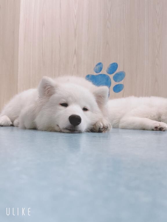 おはよう♡♡♡♡