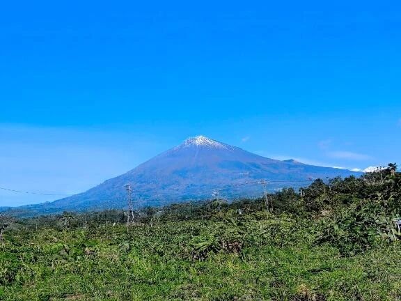 おはようございます