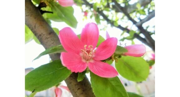 おはようございます