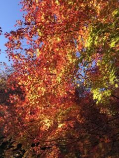 おはようございます(^^)