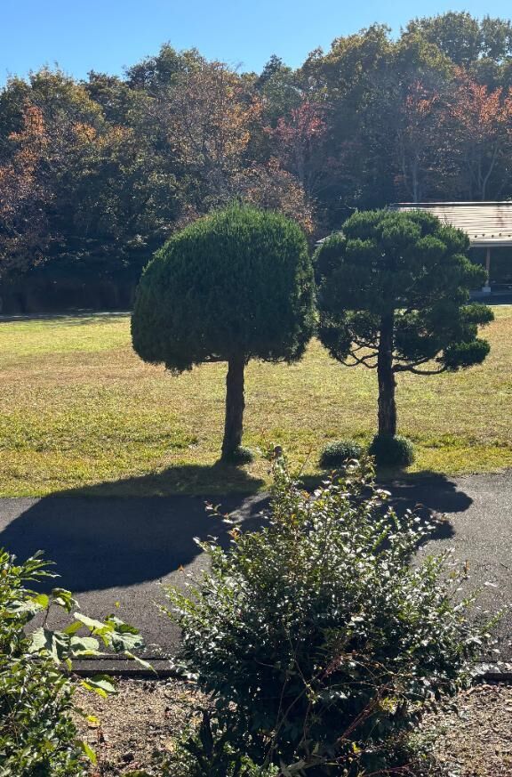 [お題]from:ディマンシェさん