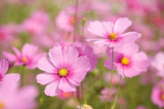 [お題]from:トンボさん