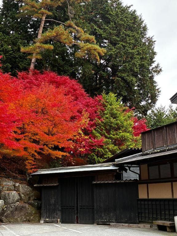 インフルエンザ