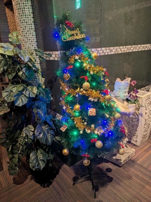 もうそんな時期！？