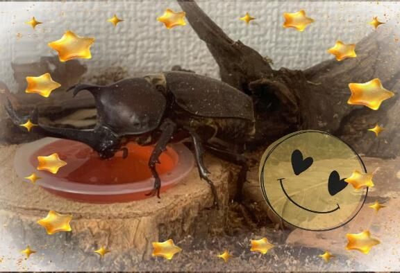 [お題]from:村田さん