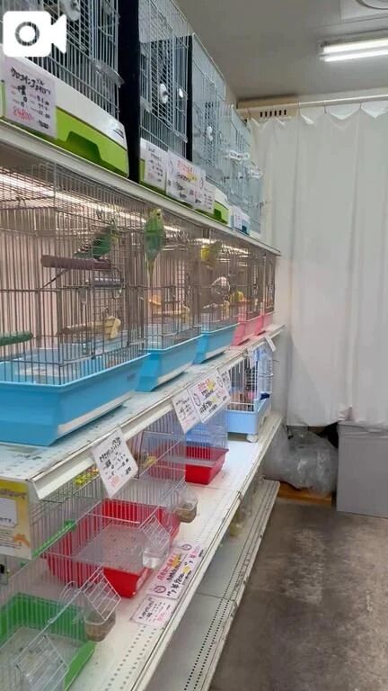 やっぱり来てしまった…♡♡