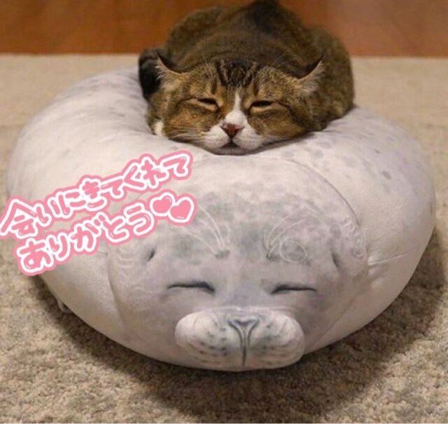 16日（日）仲良しK ち&#9825;&#9825;&#9825;