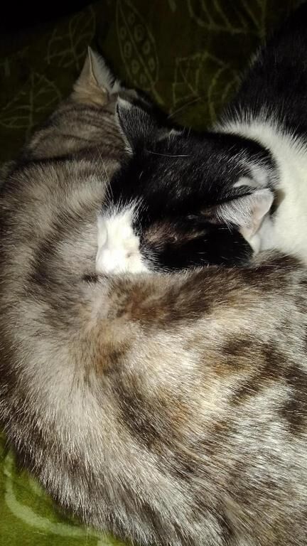 じっとしてられない