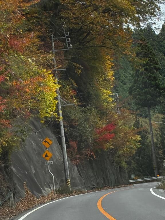 [お題]from:たかっくさん