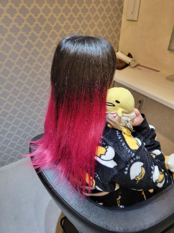 今日はお休みです