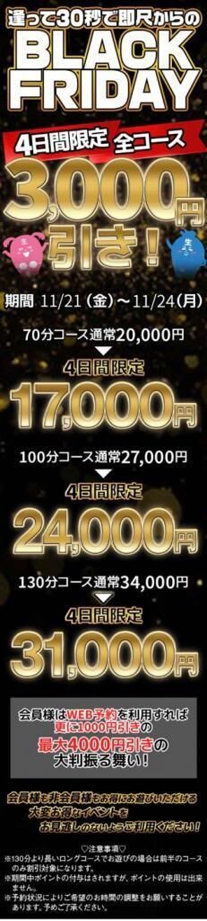 ブラックフライデー