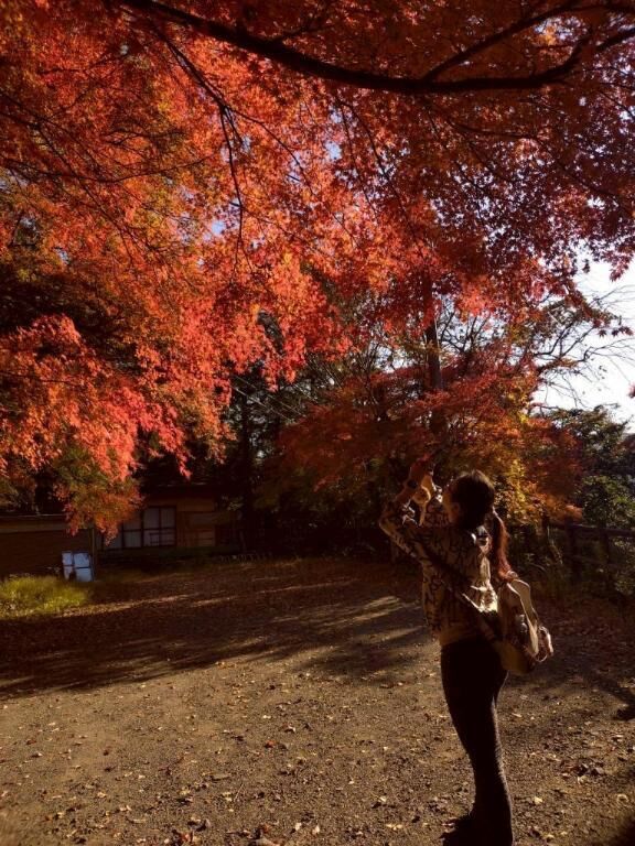 &middot;͜&middot;ᰔᩚバタンキュー‥✕-✕‥