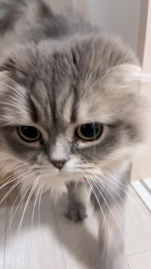 &#9825;のちほど&#9825;