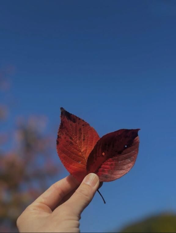 おはようございます。