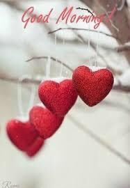 おはようございます♡♡♡♡♡♡