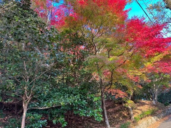 おはようございます