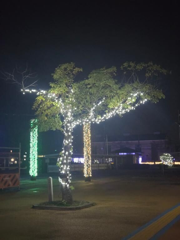 イルミネーション