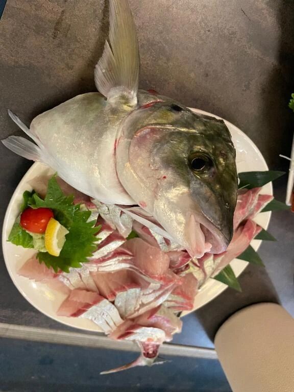 おはようございます️