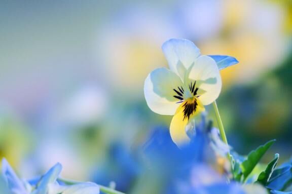 スタート・お礼