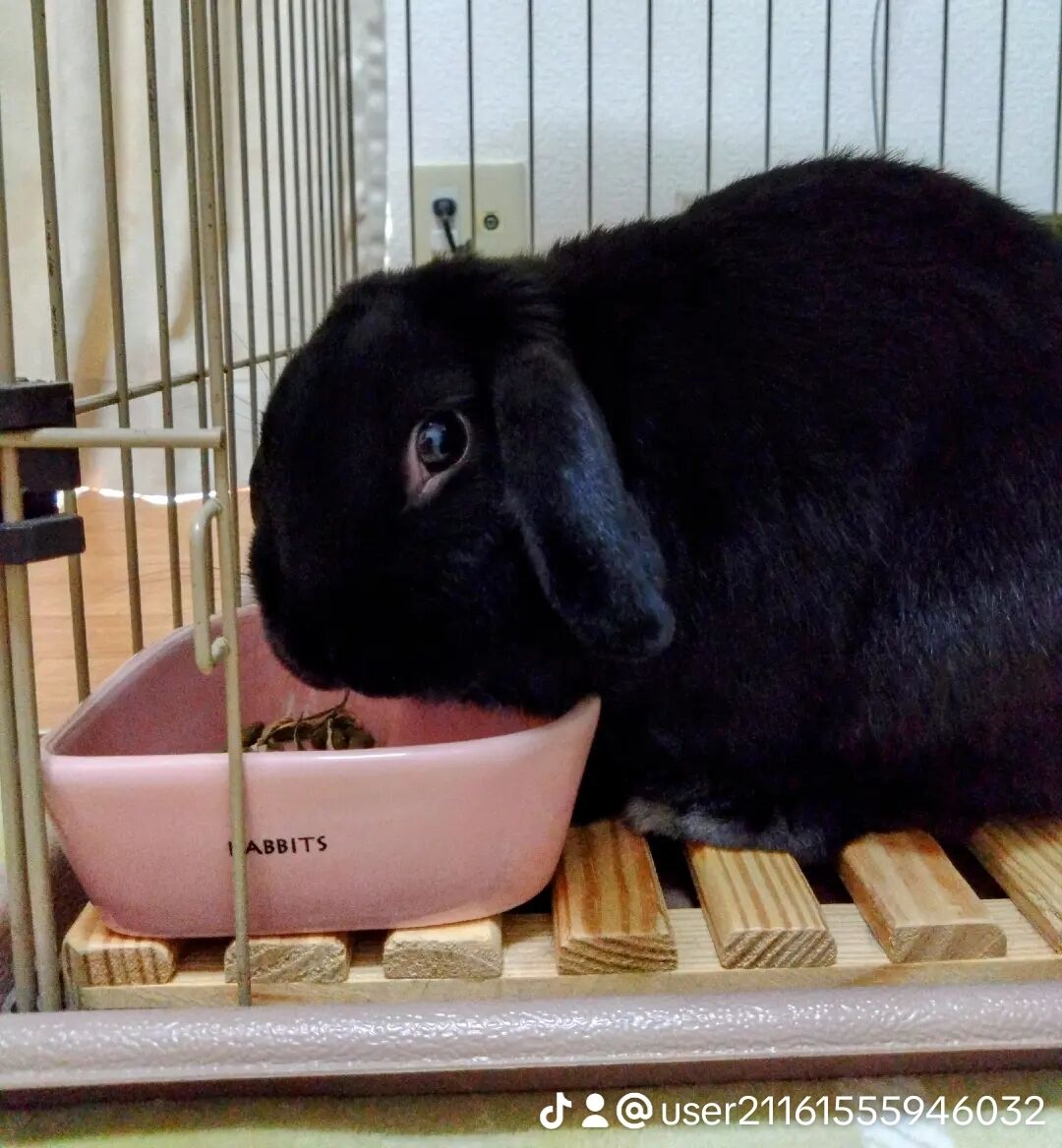 おはよぉ&#x301C;ございます(//∇//)